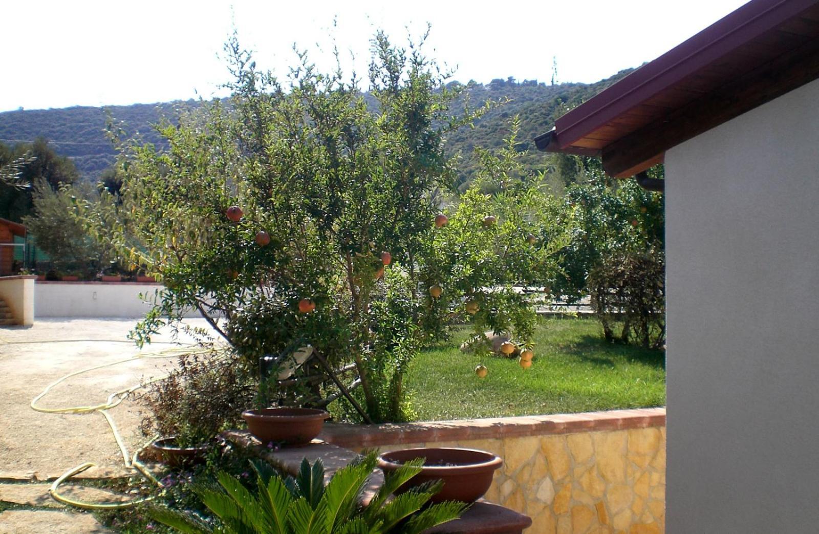 Bed And Breakfast La Casetta Monopoli Exterior photo