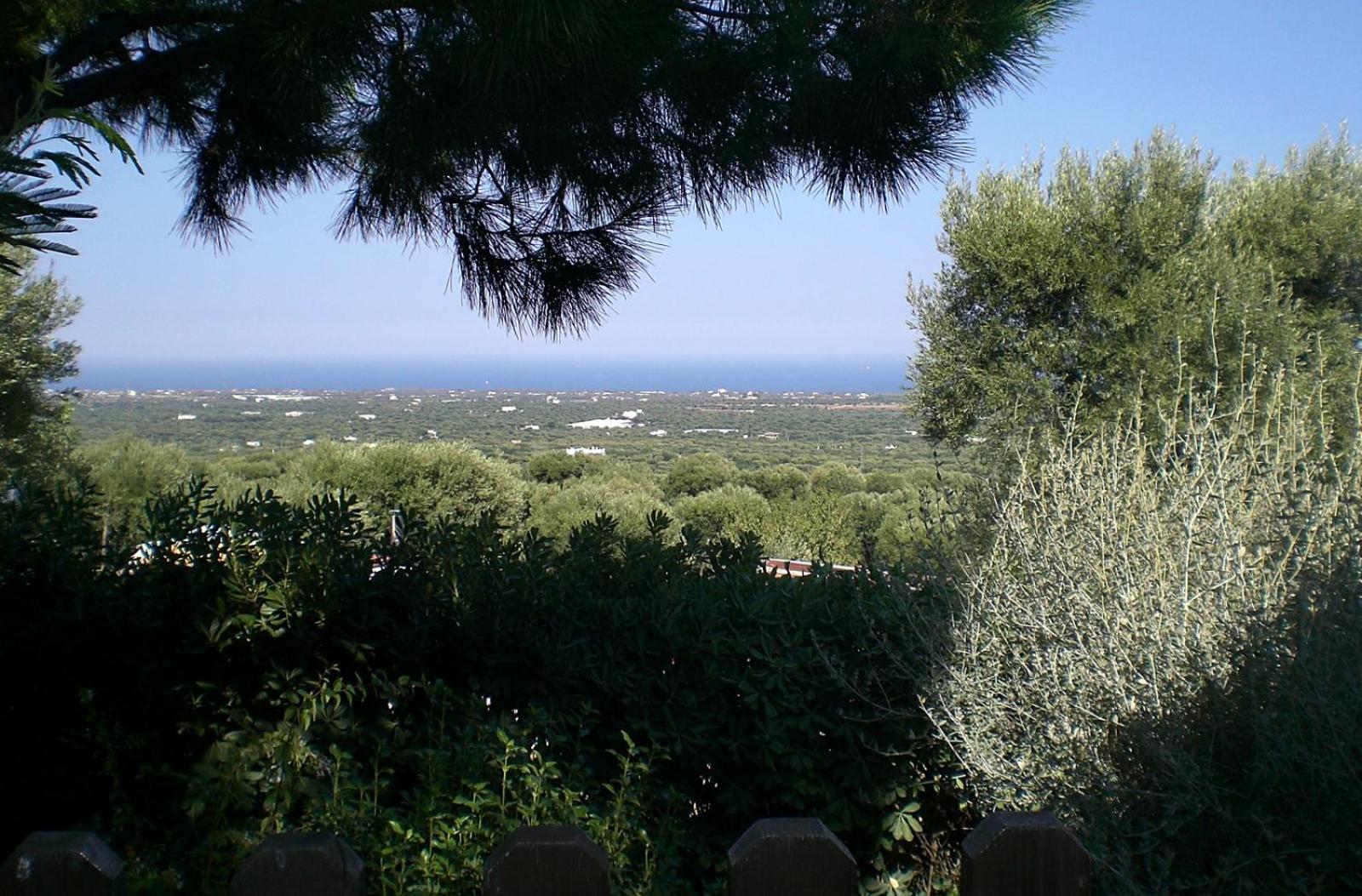 Bed And Breakfast La Casetta Monopoli Exterior photo