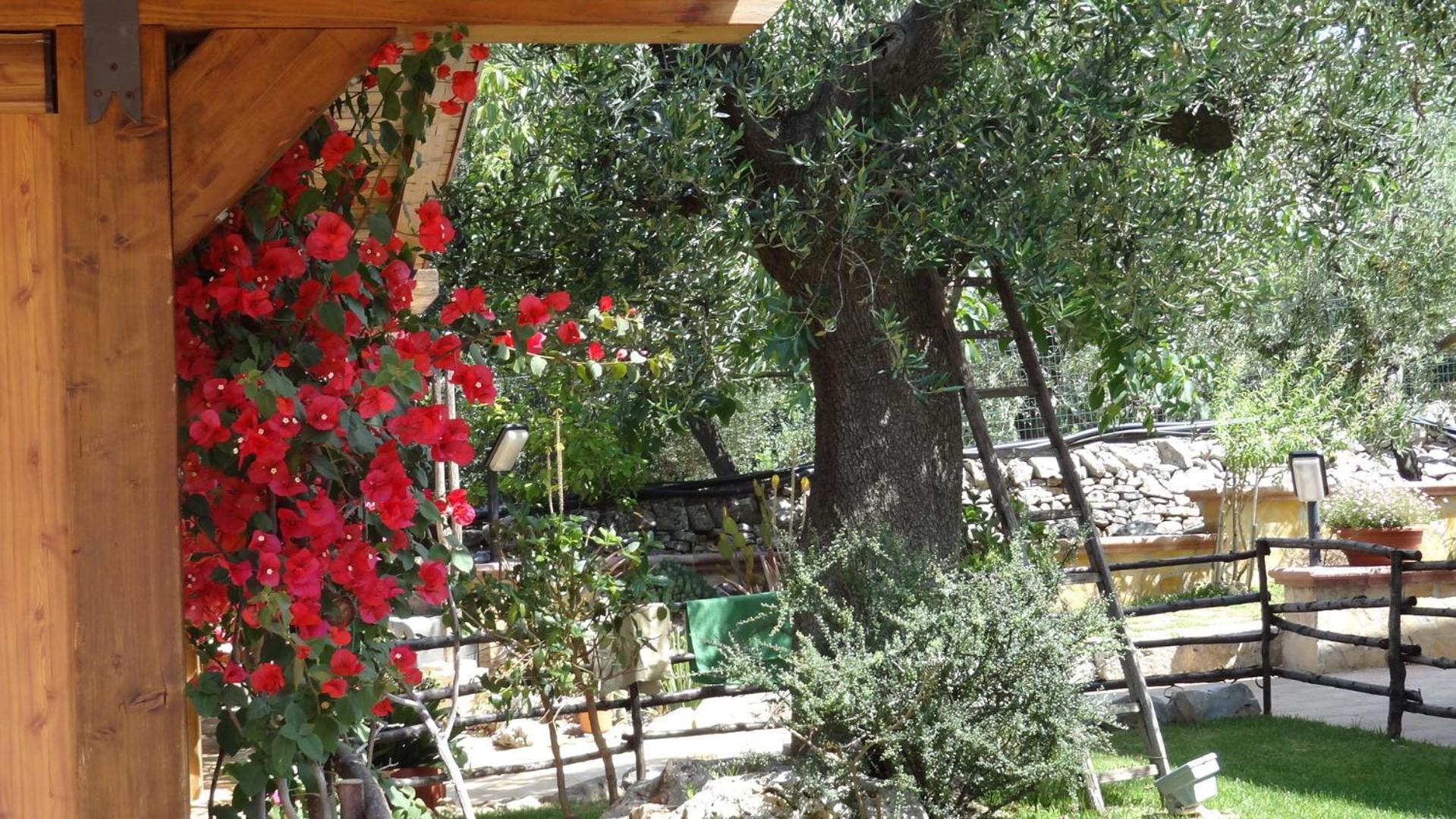 Bed And Breakfast La Casetta Monopoli Exterior photo