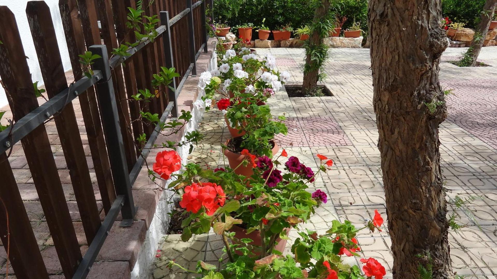 Bed And Breakfast La Casetta Monopoli Exterior photo